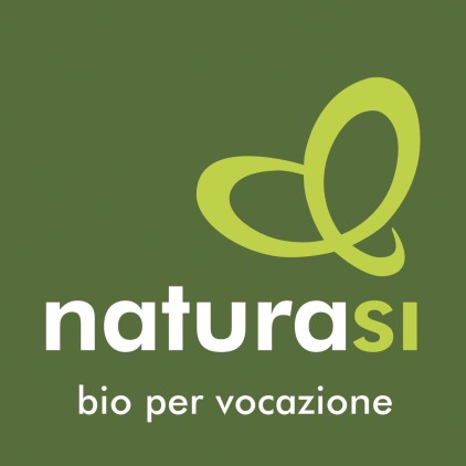 Logo-nsi-2015-quadrato